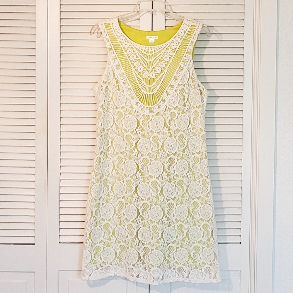 Lace dress